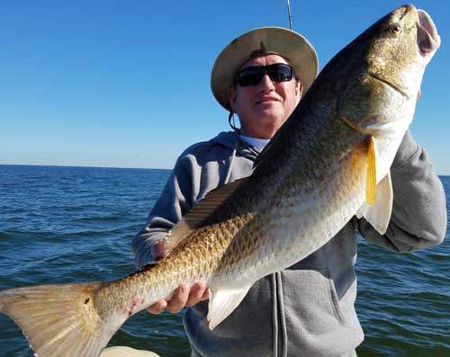 Winter Redfish With Live Bait