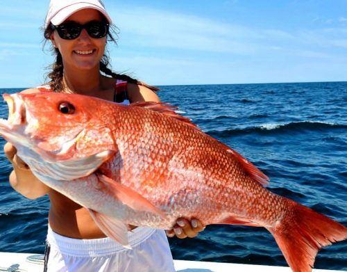 Biloxi Deep Sea Red Snapper Fishing