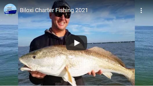 Biloxi Charter Boat Fishing For Redfish aka Red Drum