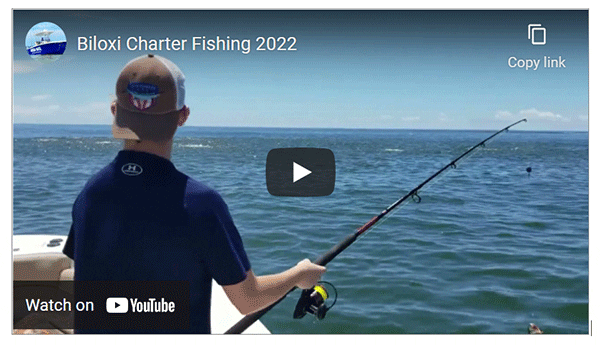 Biloxi Charter Fishing 2023