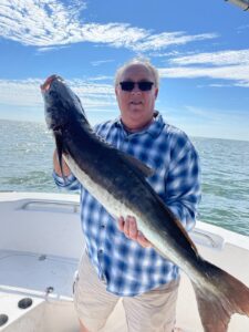 Best Biloxi Cobia Charter Fishing