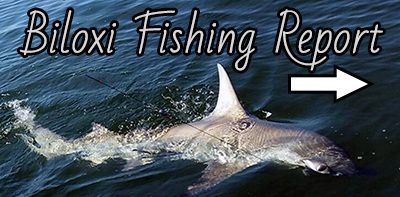 Biloxi Fishing Report